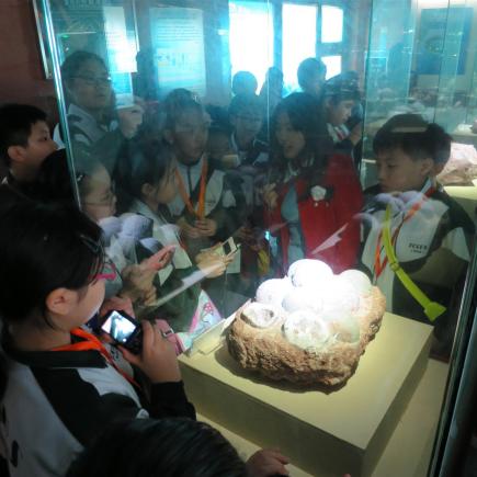 Students were visiting the Dinosaur Museum
