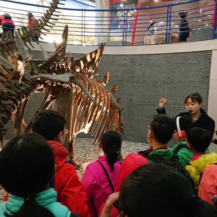 學生參訪北京自然博物館，觀察古生物的模型及認識其特徵。