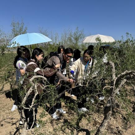 教师带领学生在枸杞种植园区搜集数据数据，研究枸杞生长所需的环境条件。