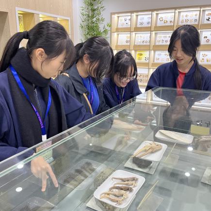 學生參訪廣東藥科大學的中藥標本館，認識嶺南中醫藥標本及經典藥材。