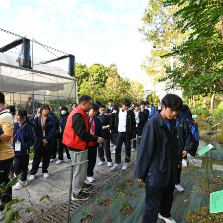 學生於廣東中醫藥博物館外參觀「藥王山」中草藥種植園區，實地考察及親身接觸中草藥。