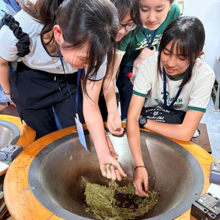 學生於梅家塢村（龍井茶園）體驗炒茶工藝