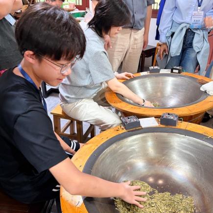 學生於梅家塢村（龍井茶園）體驗炒茶工藝