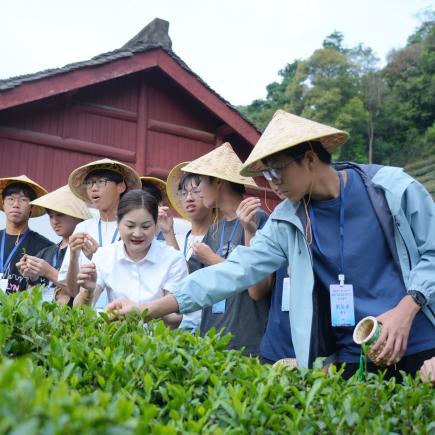 學生於梅家塢村（龍井茶園），穿着茶農服飾，體驗採茶
