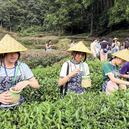 學生於梅家塢村（龍井茶園），穿着茶農服飾，體驗採茶