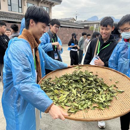 學生於武夷山國家公園體驗茶葉製作技藝。