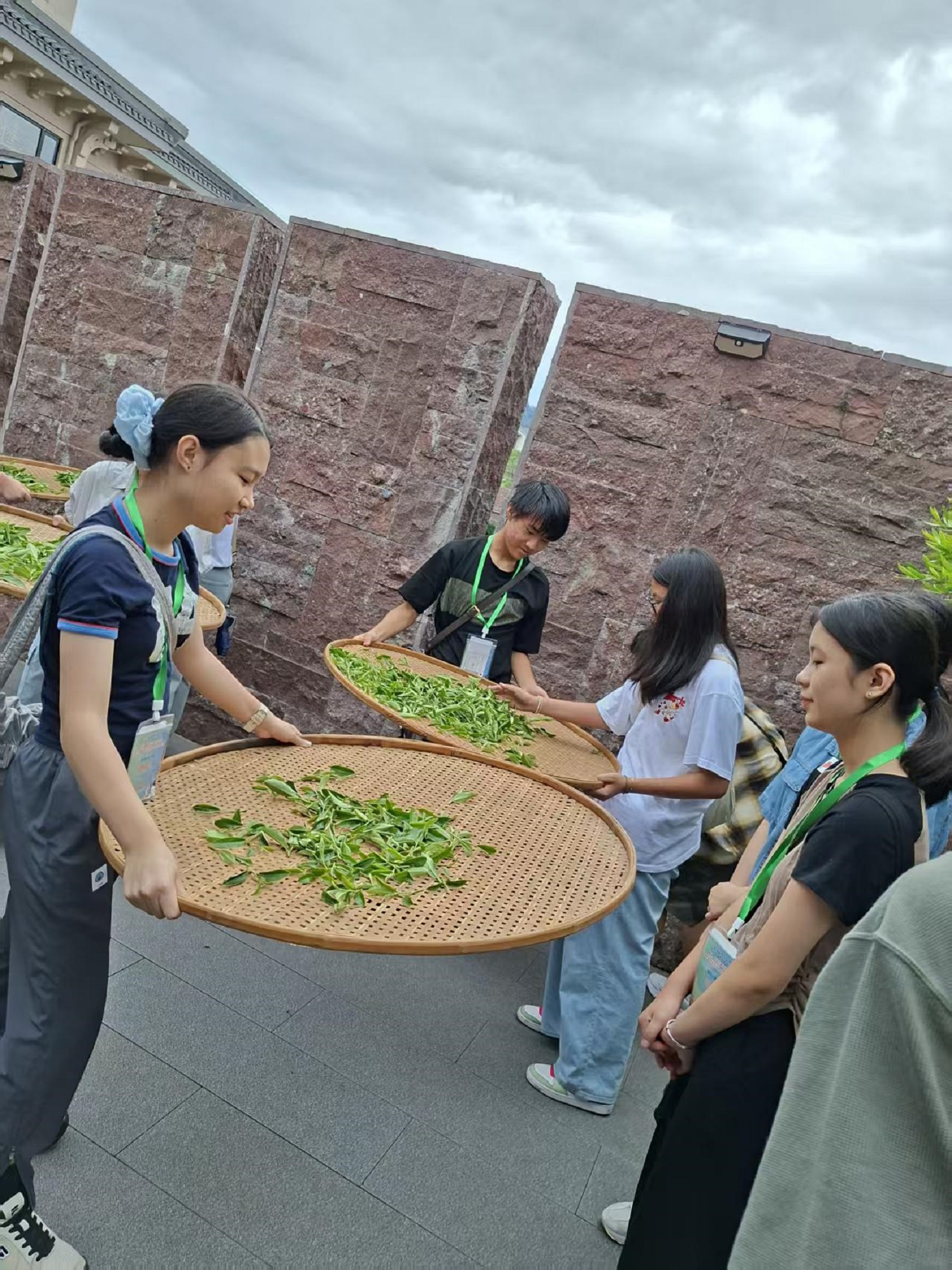 武夷山國家公園（體驗茶葉製作技藝）